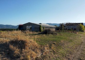panoramica - Terreno agricolo Via San Pantaleo, Vinci - foto 1