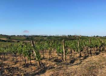 panoramica - Terreno agricolo Via San Pantaleo, Vinci - foto 4