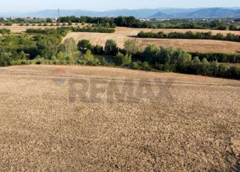 panoramica - Terreno agricolo Via San Pantaleo, Vinci - foto 6