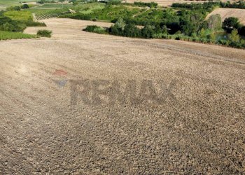 panoramica - Terreno agricolo Via San Pantaleo, Vinci - foto 7