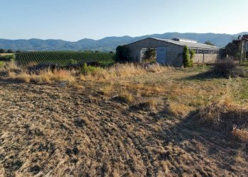 panoramica - Terreno agricolo Via San Pantaleo, Vinci - foto 9
