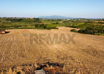panoramica - Terreno agricolo Via San Pantaleo, Vinci - foto 17