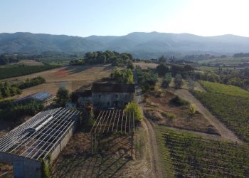 panoramica - Terreno agricolo Via San Pantaleo, Vinci - foto 19