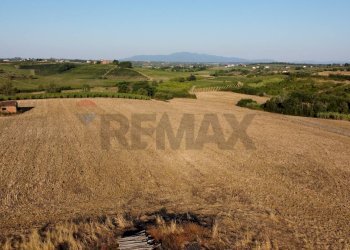 panoramica - Terreno agricolo Via San Pantaleo, Vinci - foto 21