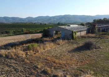panoramica - Terreno agricolo Via San Pantaleo, Vinci - foto 22