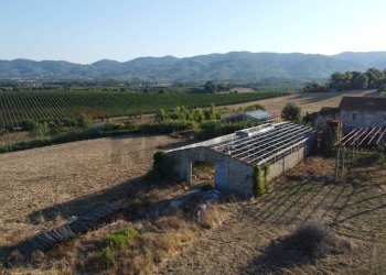 panoramica - Terreno agricolo Via San Pantaleo, Vinci - foto 23
