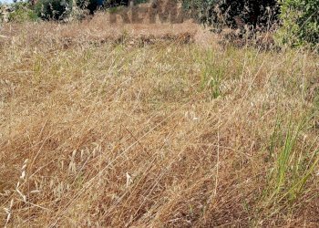 Non correlato - Terreno edificabile CONTRADA CARANCINO
6, Siracusa - foto 3