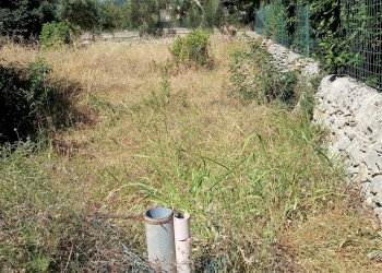Giardino - Terreno edificabile CONTRADA CARANCINO
6, Siracusa - foto 6