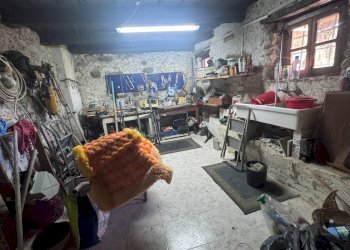 cantina - Stabile - Palazzo Località Arotte, Pamparato - foto 15