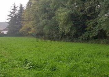 Giardino - Terreno edificabile LUIGI CADORNA
35, Gornate Olona - foto 14
