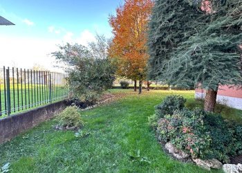 Giardino - Box Via Montale
 
25, Rho - photo 11