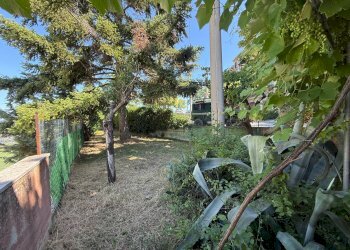 Foto 33 - Casa semi indipendente Viale Roma
 
15, Ancarano - foto 33