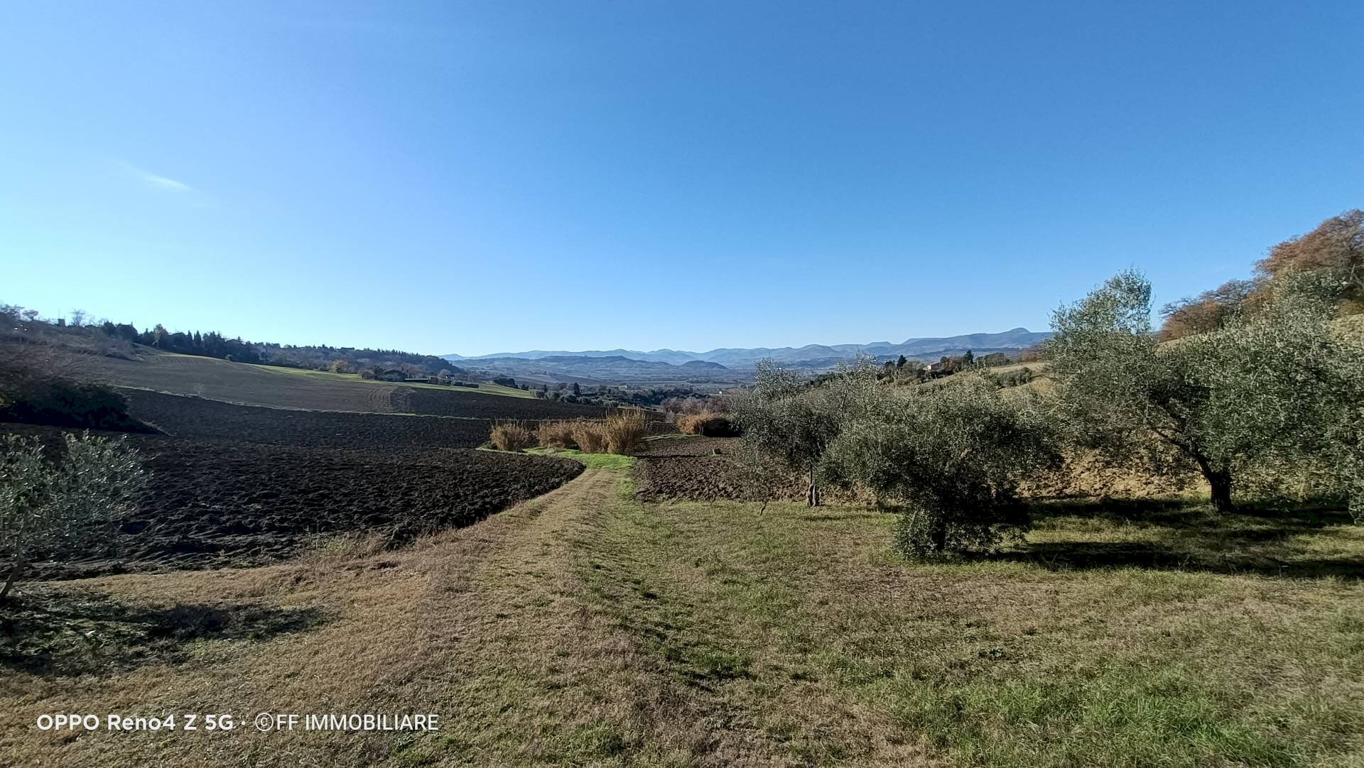 Foto 1 - Terreno agricolo Contrada Montalbano, Macerata - foto 1