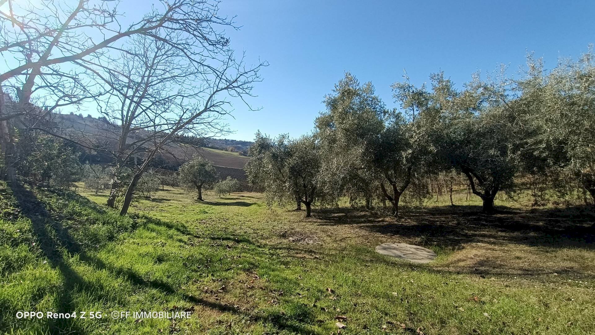 Foto 2 - Terreno agricolo Contrada Montalbano, Macerata - foto 2