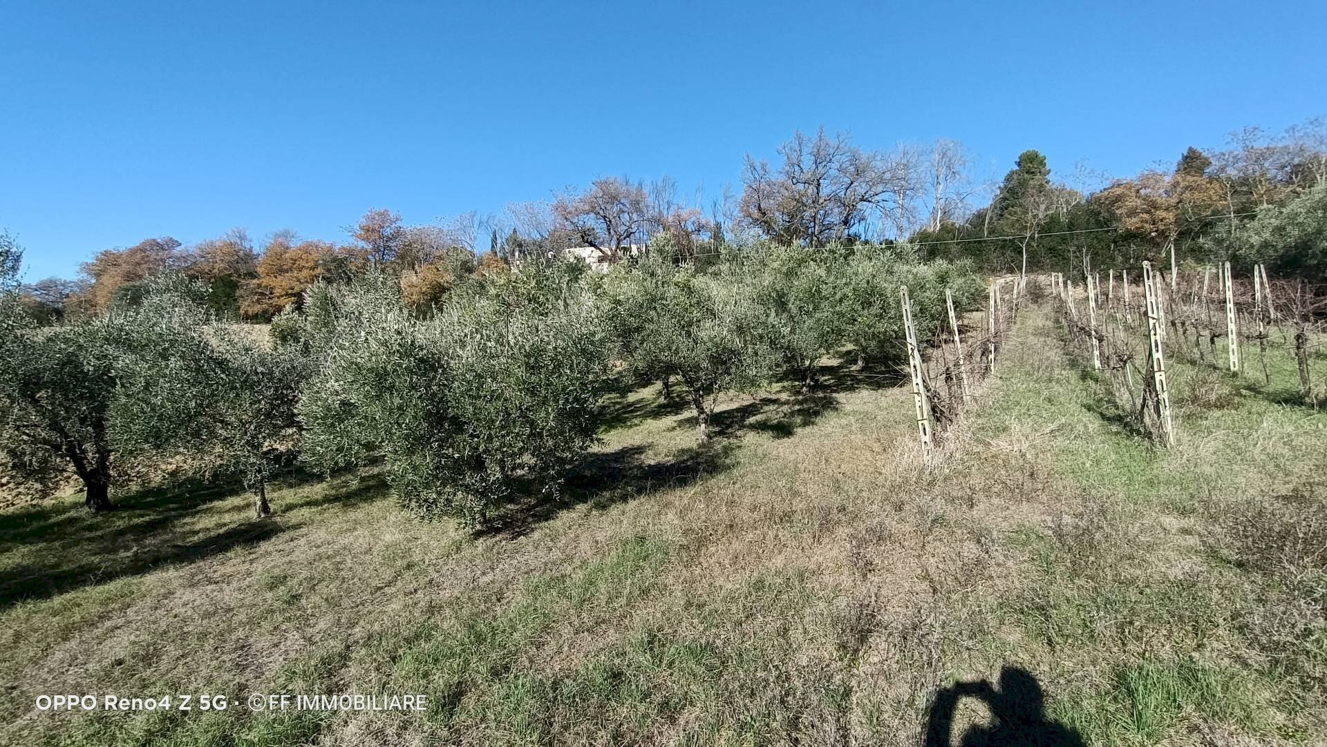 Foto 3 - Terreno agricolo Contrada Montalbano, Macerata - foto 3
