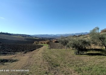 Foto 1 - Terreno agricolo Contrada Montalbano, Macerata - foto 1