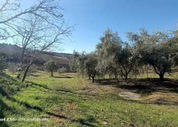 Foto 2 - Terreno agricolo Contrada Montalbano, Macerata - foto 2