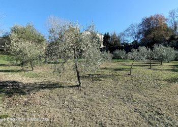 Foto 4 - Terreno agricolo Contrada Montalbano, Macerata - foto 4