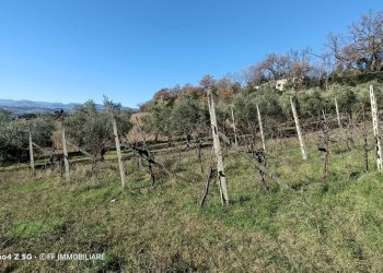 Foto 5 - Terreno agricolo Contrada Montalbano, Macerata - foto 5