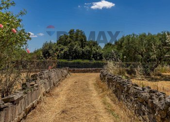 Giardino - Baita Via Villa Castelli
-, Martina Franca - foto 7