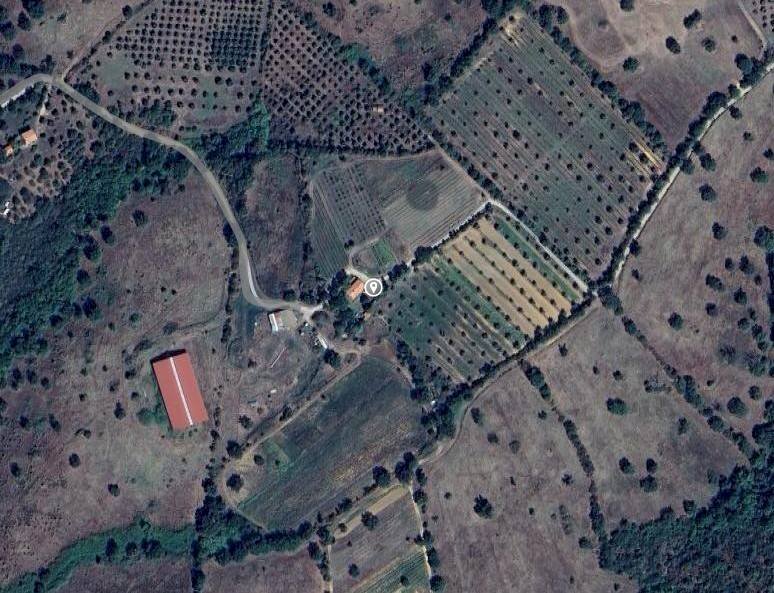 Foto 1 - Farm Loc Mandorlaie, Scansano - photo 1