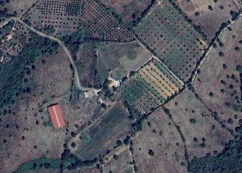 Foto 1 - Farm Loc Mandorlaie, Scansano - photo 1
