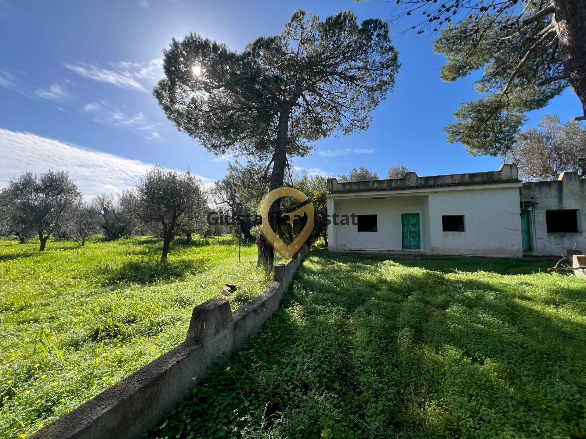 Foto 2 - Villa Contrada Orfani, Mesagne - photo 2