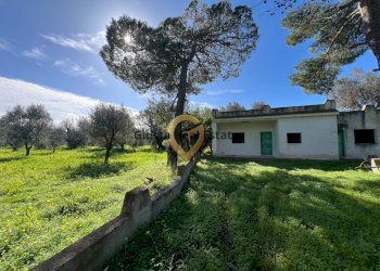 Foto 2 - Villa Contrada Orfani, Mesagne - photo 2