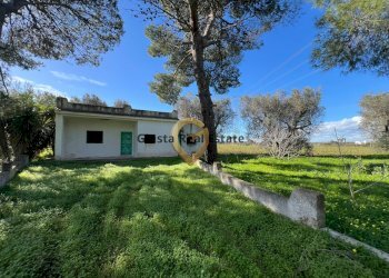 Foto 3 - Villa Contrada Orfani, Mesagne - photo 3