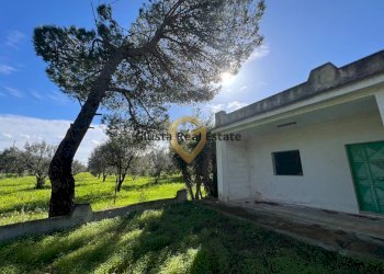 Foto 13 - Villa Contrada Orfani, Mesagne - photo 13