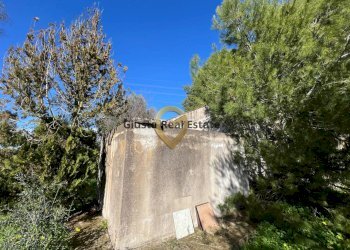 Foto 15 - Villa Contrada Orfani, Mesagne - photo 15