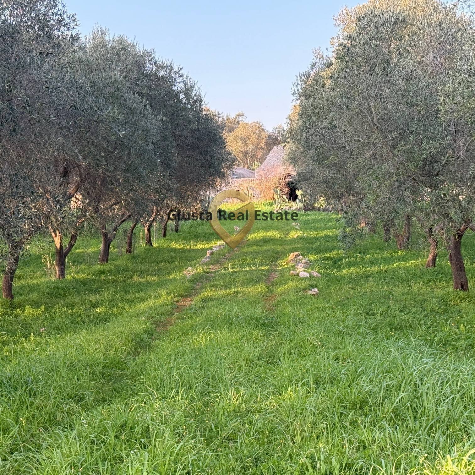 Foto 2 - Quadrilocale Contrada Sardella, San Michele Salentino - foto 2
