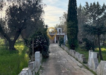 Foto 3 - Villa contrada specchia
 
3, Latiano - photo 3