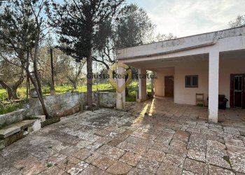 Foto 8 - Villa contrada specchia
 
3, Latiano - photo 8