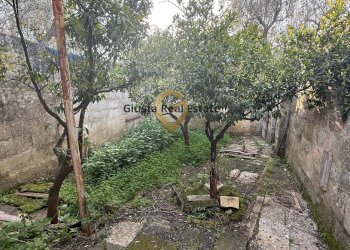 Foto 16 - Villa contrada specchia
 
3, Latiano - photo 16