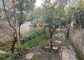 Foto 17 - Villa contrada specchia
 
3, Latiano - photo 17
