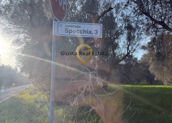 Foto 18 - Villa contrada specchia
 
3, Latiano - photo 18
