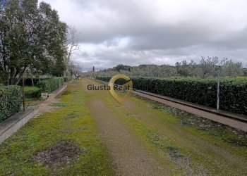Foto 5 - Agricultural land Contrada Santa Caterina
sn, San Vito dei Normanni - photo 5