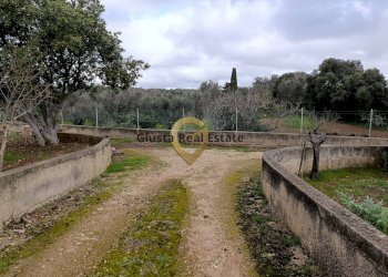 Foto 18 - Agricultural land Contrada Santa Caterina
sn, San Vito dei Normanni - photo 18