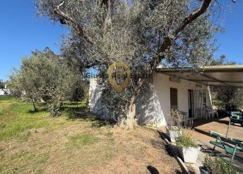 Foto 3 - Villa Contrada Tanusci, Latiano - photo 3
