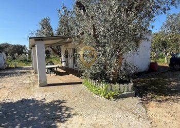 Foto 6 - Villa Contrada Tanusci, Latiano - photo 6