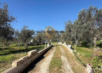 Foto 9 - Villa Contrada Tanusci, Latiano - photo 9