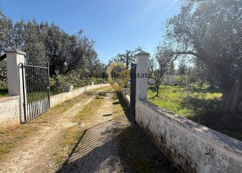 Foto 13 - Villa Contrada Tanusci, Latiano - photo 13