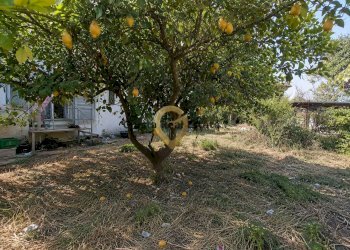 Foto 21 - Villa Contrada Pappadà
 
43, Oria - photo 21