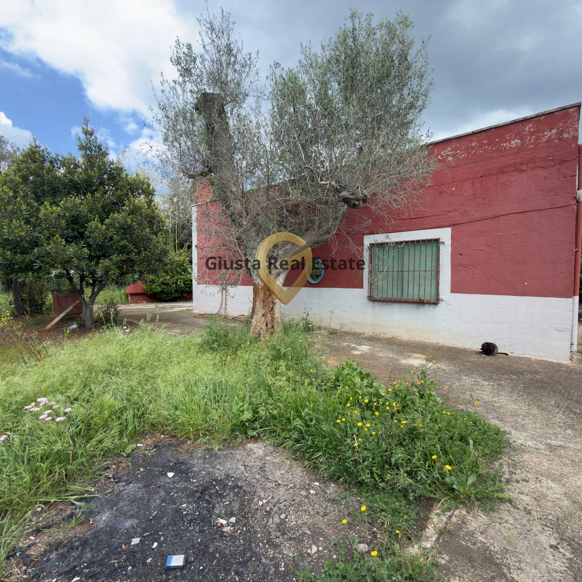 Foto 2 - Villa Contrada Specchia, Latiano - foto 2