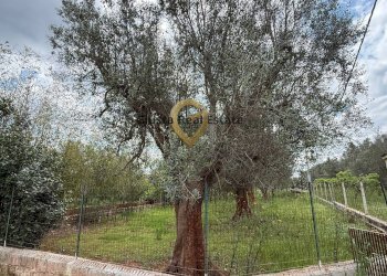 Foto 4 - Villa Contrada Specchia, Latiano - foto 4