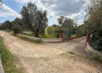 Foto 5 - Villa Contrada Specchia, Latiano - foto 5