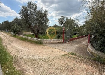 Foto 6 - Villa Contrada Specchia, Latiano - foto 6