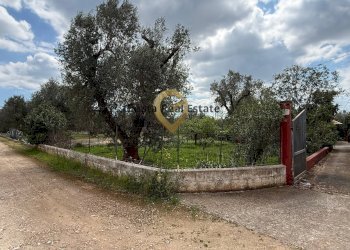 Foto 7 - Villa Contrada Specchia, Latiano - foto 7