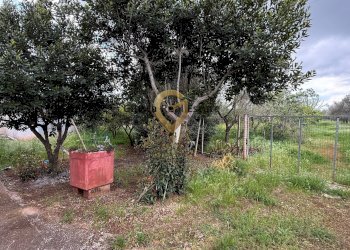 Foto 10 - Villa Contrada Specchia, Latiano - foto 10